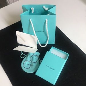 Tiffany & Co. Blue Striped SS Earrings